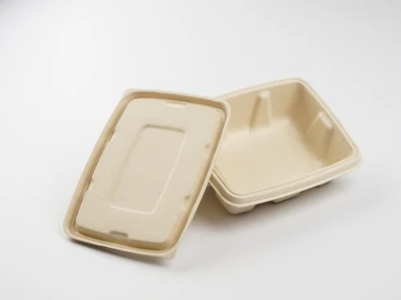 650ml Antileak Baggase Rectangle Container with Lid