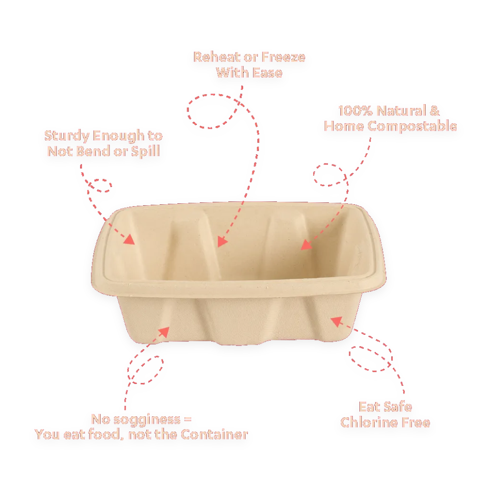CHUK 350 ml Container Square (Only Container) eco-friendly food packaging wholesale Goa - EcoZen Packaging