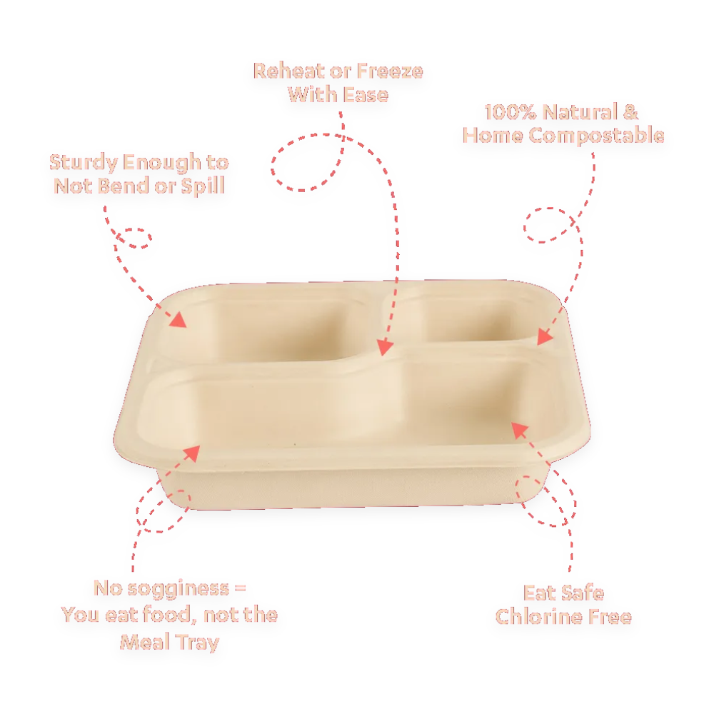 CHUK 3 CP Meal Tray (Open) eco-friendly food packaging wholesale Goa - EcoZen Packaging
